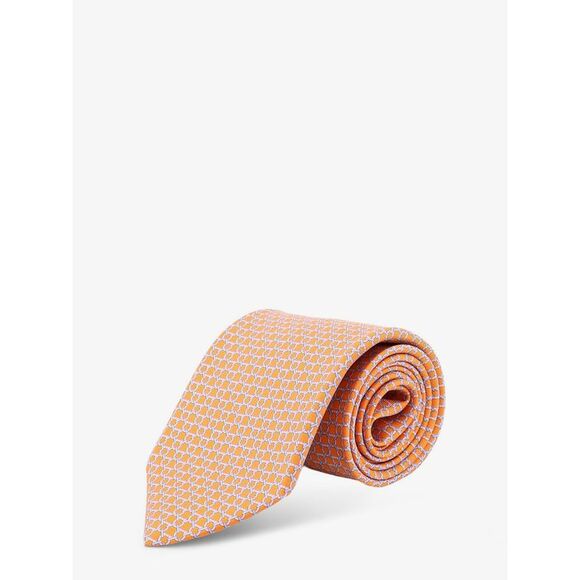 FERRAGAMO Other - Ferragamo Men Carato Silk Tie